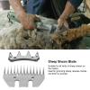 Pilipane 13 Tooth Straight ed ge Electric Wool Cutter & Goat Clipper Scissor Replacement and Sheep Grooming Tool Part, Sheep Shears Blade, Electric Wool Cutter Accessory view 4