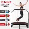 Trampoline, Portable Fitnes Foldable Trampoline in-Home Mini Rebounder, Exercise Trampoline for Kid/Adults, 40" Max Load 330lbs (Black) view 2