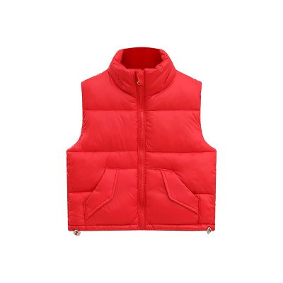 Toddler Baby Girls Winter Down Cotton Hedgehog Vest With Front Buckle Cartoon Warm Outwear Toddler (B, 4-5 Years)