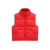 Toddler Baby Girls Winter Down Cotton Hedgehog Vest With Front Buckle Cartoon Warm Outwear Toddler (B, 4-5 Years) view 1