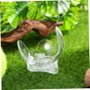 BESPORTBLE Tennis Clip Abs Material Professional Ball Waist Clip Sports Accessory Easy to Use Tennis Holder view 4