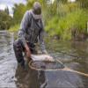 St. Croix Rods Onchor Spinning Rod, Salmon and Steelhead, Premium Quality Spinning Rod, Made in The USA view 3