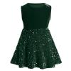 Toddler Girls Green Velvet Dress: Princess Sleeveless Sequin Sparkly Crew Neck Vintage Tie Back Ruffle Dress Holiday Christmas Xmas Pageant Party Fall Winter Outfits Green 12-18 Months view 1