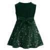 Toddler Girls Green Velvet Dress: Princess Sleeveless Sequin Sparkly Crew Neck Vintage Tie Back Ruffle Dress Holiday Christmas Xmas Pageant Party Fall Winter Outfits Green 12-18 Months view 3