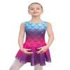 EQSJIU Rainbow Leotards for Girls with Skirt Tutu Ballet Dance Gymnastics Size 9-10 Years view 1