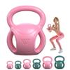 20 lb Kettlebell Weight with Three-handles for Russian Twists AB Exercise, Weightlifting and Core Training All-Purpose Fitness Exercise Home Gym [Pink] view 1
