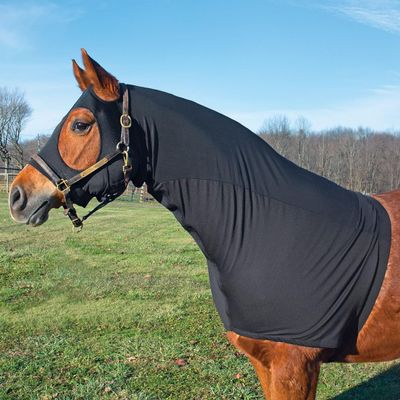 Country Pride Lycra and Mesh Head and Shoulder Hood, Breathable Horse Hood, Prevents Blanket Rubs, Keeps Mane Smooth, Full Separating Zipper, Adjustable Girth, Black (X-Large)