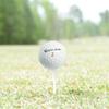 GolfBall Nut Used and Certified Recycled for Taylormade TP Mix Near Mint 4A Quality White 24 Golf Balls Mesh Bag Included view 4