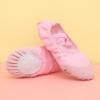 Ballet Shoes for Girls,Soft Leather Ballet Slippers No-Tie Warm Dance Yoga Practice Shoes for (Pink-d, 9.5 Toddler) view 3