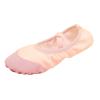 Ballet Shoes for Girls,Soft Leather Ballet Slippers No-Tie Warm Dance Yoga Practice Shoes for (A-d, 10.5 Little Child) view 1