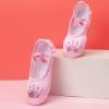 Ballet Shoes for Girls,Soft Leather Ballet Slippers No-Tie Warm Dance Yoga Practice Shoes (Pink-b, 12.5 Little Child) view 3