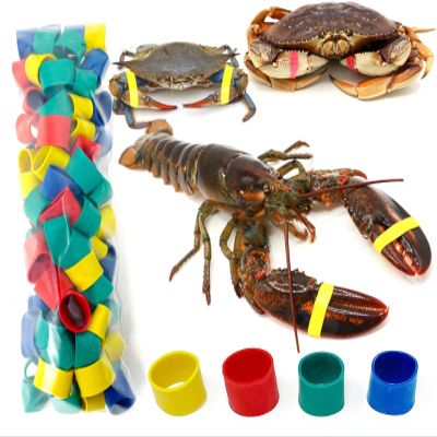 AirFly Crab, Lobster Claw Rubber Bands, Protect Lobsters & Crabs, Cook Safe FDA-Compliant Silicone, Size 1 x 0.5, Made in USA