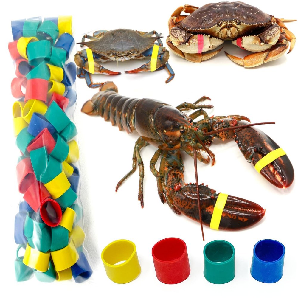 AirFly Crab, Lobster Claw Rubber Bands, Protect Lobsters & Crabs, Cook Safe FDA-Compliant Silicone, Size 1 x 0.5, Made in USA