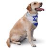 Israel Flag Dog Scarf Pet Bandana Cat Pet Bibs view 2