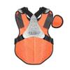 All-Star Adult PHX Paige Halstead Fastpitch Softball Chest Protector (Large) White/Black view 2