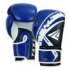 Fadi Sports Train Evolution Boxing Gloves - Pro Training Sparring Gloves for Men & Women with Ventilated Palm | Perfect for Muay Thai, MMA, Kickboxing, Heavy Bag Workouts & Fitness view 2