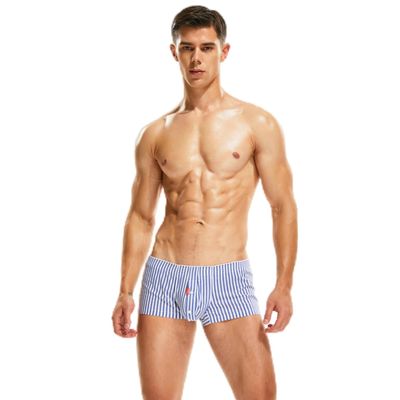 BreakEgg Men's Boxer Short Mens Boxer Briefs - Comfortable 100% Cotton Shorts for Classic Style Underwear (Sky blue vertical stripes,XX-Large)