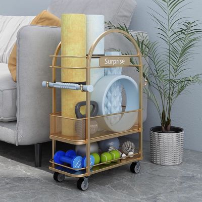 Home Gym Storage Rack, Home Gym Storage for Yoga Mat Storage Rack, Multipurpose Fitness and Accessory Equipment Organizer with Wheels (Color : Gold)