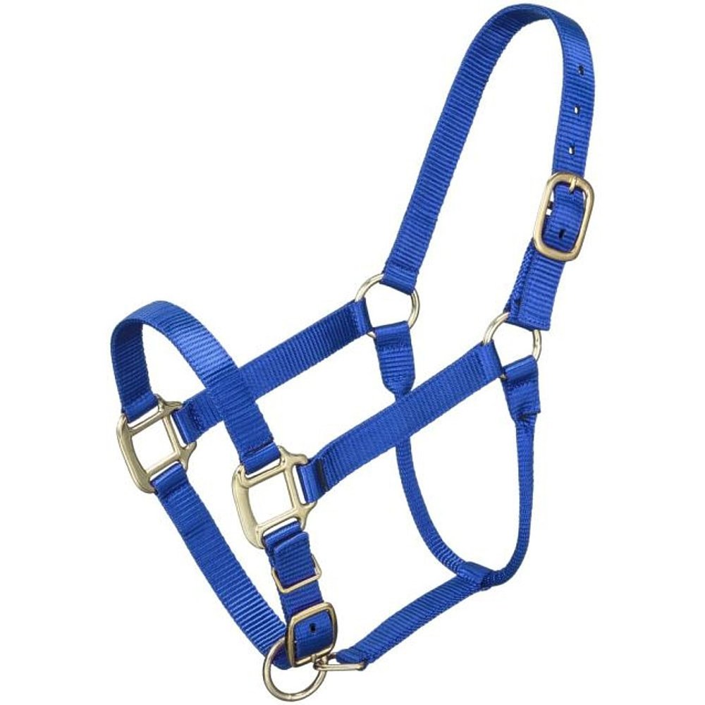 Tough 1 Premium Halter Horse Blue/Royal