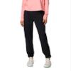 Columbia Women's Tidal Roamer II Stretch Pant, Black, X-Large view 2