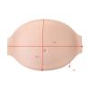ZJchao Fake Pregnancy Belly, Empty Fake Padded Pregnancy Belly Cosplay Belly Rectangular Breathable Lightweight Artificial Pregnant Tummy for Props Costumes Cosplay Performance Maternity view 4
