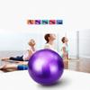 MDybf Fitness Ball Pilates Yoga Ball Fertility Ball Home Office Chair Shaping Physiotherapy Help Childbirth Balance Training Ballo (Color : Blue, Size : 75cm) view 3