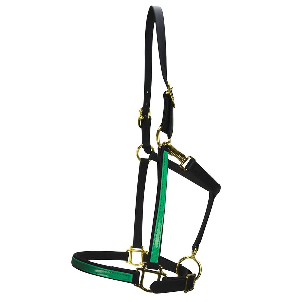 Country Pride Two-Tone Beta Halter for Horses, Durable 0.75 Inch Wide with Adjustable Nose, Double Buckle Crown, Throat Snap, Brass Hardware, Made in Ohio, (Kelly Green)
