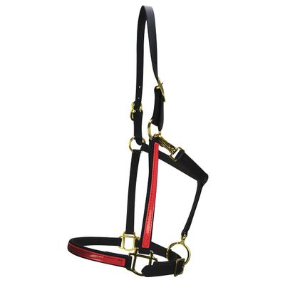 Country Pride Two-Tone Beta Halter for Horses, Durable 0.75 Inch Wide with Adjustable Nose and Double Buckle Crown, Throat Snap and Brass Hardware, Made in Ohio, (Red)