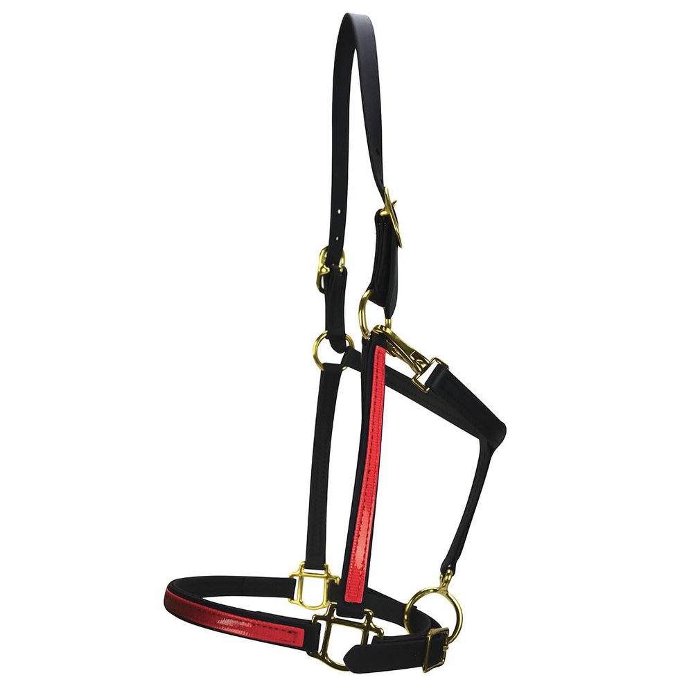 Country Pride Two-Tone Beta Halter for Horses, Durable 0.75 Inch Wide with Adjustable Nose and Double Buckle Crown, Throat Snap and Brass Hardware, Made in Ohio, (Red)
