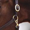 Country Pride Fairfield Triple Stitched Leather Halter for Horses, Durable One-Inch Leather with Brass-Plated Hardware, Adjustable Crown and Nose, Throat Snap for Easy On and Off (Horse) view 2