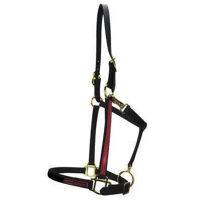 Country Pride Two-Tone Beta Halter for Horses, Durable 0.75 Inch Wide with Adjustable Nose, Double Buckle Crown, Throat Snap and Brass Hardware, Made in Ohio, (Burgundy)