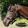 Country Pride Fancy Stitched Padded Halter and Lead, Padded Leather Crown and Nose w/Elegant Stitching, Double Buckle Crown, Adjustable Chin, Matching Lead with Chain, Durable Halter (Black, Large) view 1