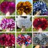 aiviwiai Professional Metallic Cheerleading Pom Poms with Baton Handle, 1 Pair Vibrant Cheerleader Poms for Cheer Squad Spirit, Dance Performance Gear, Team Sports Accessories view 3