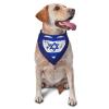 Israel Flag Heart Israeli National Flag Dog Bandana Adjustable Triangle Pet Scarf Premium Quality Bandanas for Dogs and Cats view 1
