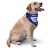 Israel Flag Heart Israeli National Flag Dog Bandana Adjustable Triangle Pet Scarf Premium Quality Bandanas for Dogs and Cats view 2