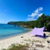 Neso Portable Beach Tent Sun Shelter with Sand Anchor - Lightweight Beach Shade Canopy - Easy Setup for Family Outings - Patented Reinforced Corners - UPF 50+ Sun Protection - 7 x 7ft - Lavender view 1