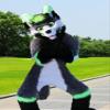 PROPSCOS Long Furry Grey Green Husky Dog Mascot Costume Customize Cartoon (M)