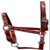Equitem 2 Ply Nylon Horse Size Halter with Flower Design Tape Accent (Red) view 1