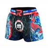 ROAR-INT Kid's Muay Thai Shorts Martial Arts MMA Kickboxing Shorts for Boys Girls Boxing Trunks Shorts (US, Alpha, X-Large, Regular, Dragon, Regular Fit) view 3