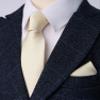 ZENXUS Boy's Solid Champagne Tie with Pocket Square Set, Small Necktie for Boys and Teens, Self-Tied view 3