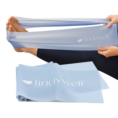 Lindywell Ultimate Exercise Bands - Resistance Bands for Working Out Men & Women, Achieve Toned Glutes, Build Strength & Physical Therapy, Durable & Non-Slip Design to Enhance Physical Workout (Blue)