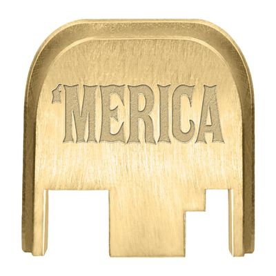 NDZ Performance Rear Slide Cover Back Plate for Gen 1-4 Glock 17 19, 9mm .40 .357 .45, Custom Laser Engraved Images on Brass, Made in The USA - Merica