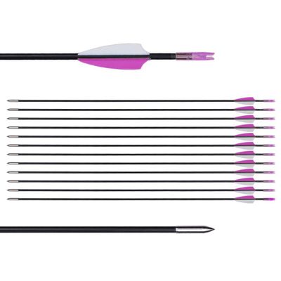 LWANO 31" Training Arrows-Archery Practice Target Arrows for Kids Youth or Beginners with Durable Shaft on Recurve Bow Compound Bow and Longbow
