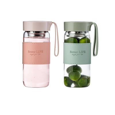 DNIENKGE Glass Tea Bottle 16 oz Drinking Bottle with Non-Slip Holster, and Stainless Tea leak, Leak Proof Lid, Portable Glass Water Bottle for School, Office, Car, Home, as a gift, etc (Green+Pink)