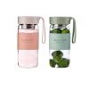 DNIENKGE Glass Tea Bottle 16 oz Drinking Bottle with Non-Slip Holster, and Stainless Tea leak, Leak Proof Lid, Portable Glass Water Bottle for School, Office, Car, Home, as a gift, etc (Green+Pink) view 1