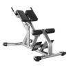 esmen Commercial Roman Chair Hyperextension Bench Back Exercise Machine Ab Workout Equipment Gym Equipment for Home Gym Loads 300 kg view 1