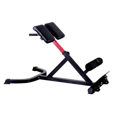 esmen Roman Chair Multifunctional Workout Bench Height Adjustable Hyperextension Machine Strength Training Machine for Home Gym Loads 660lbs