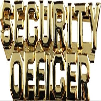 Hero's Pride SECURITY OFFICER (2 Rows) Die Struck Letters, 2 Posts & Clutch Backs, Pairs, 1/4" High, Gold-Plated