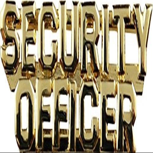 Hero's Pride SECURITY OFFICER (2 Rows) Die Struck Letters, 2 Posts & Clutch Backs, Pairs, 1/4" High, Gold-Plated