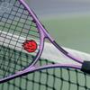 BESPORTBLE 6pcs Tennis Racket Vibration Dampener Racket String Shock Absorber Fire Shaped Silicone Racquet Shock Absorbers Tennis Racket Accessories view 2